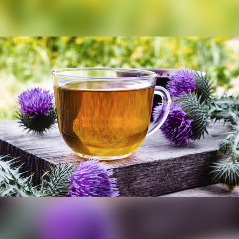 Milk Thistle Tea