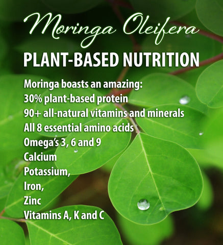 Moringa Iced Tea Papaya Dreams