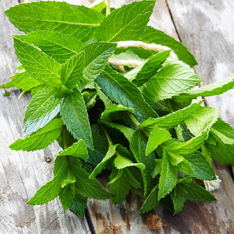 Peppermint Tea Leaves