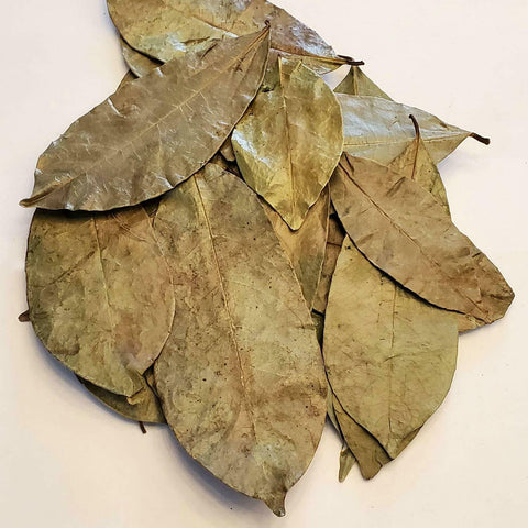 Graviola leaves